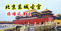 苍井空羞羞答答在线观看中国北京-东城古宫旅游风景区